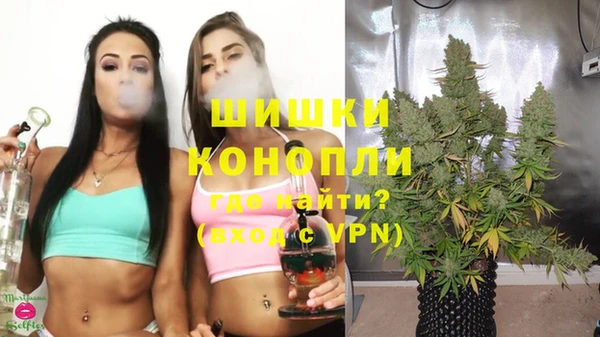 стафф Семилуки
