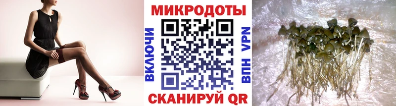 Псилоцибиновые грибы MAGIC MUSHROOMS  мега ТОР  Дальнереченск 